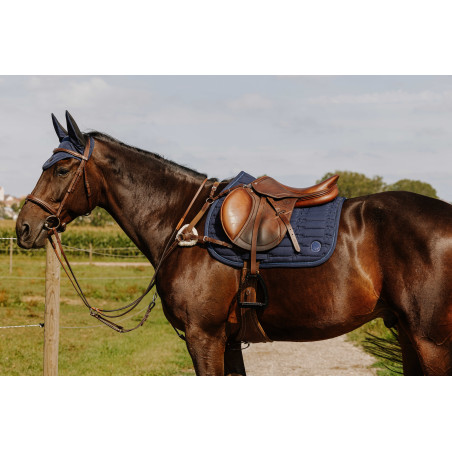 Pechopetral NORTON - 5 puntos