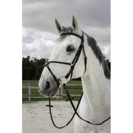 Cabezada Riding World muserola mejicana