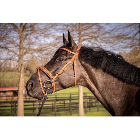 Cabezada PENELOPE Elegance