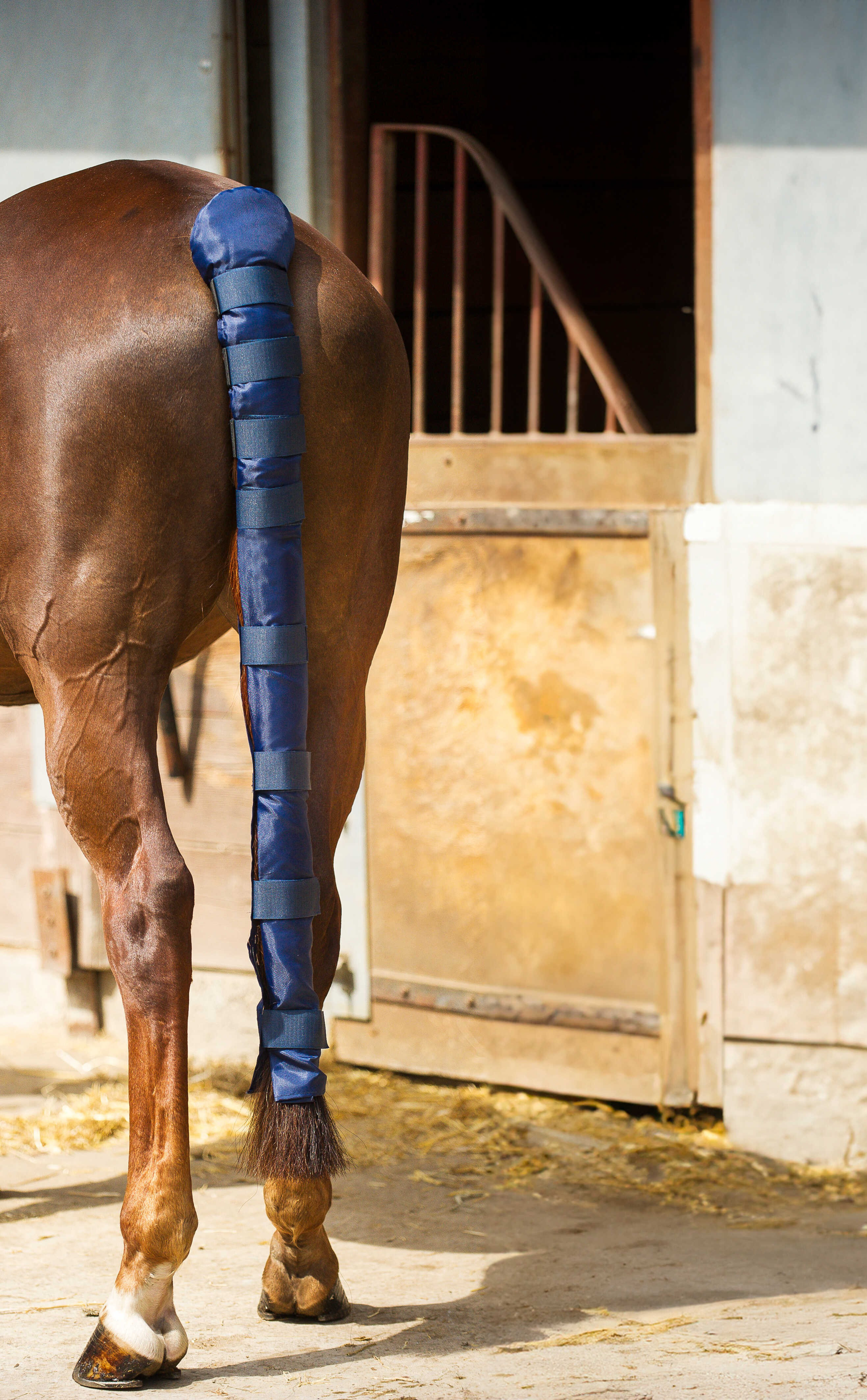 Protector de cola Norton Doudoune" largo"