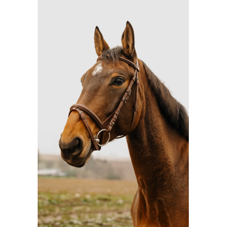 NORTON CLUB Square Cabezada de montar