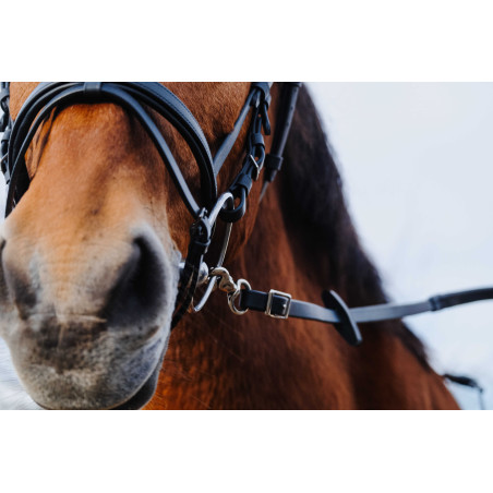 Riendas de goma NORTON TRAINING PVC