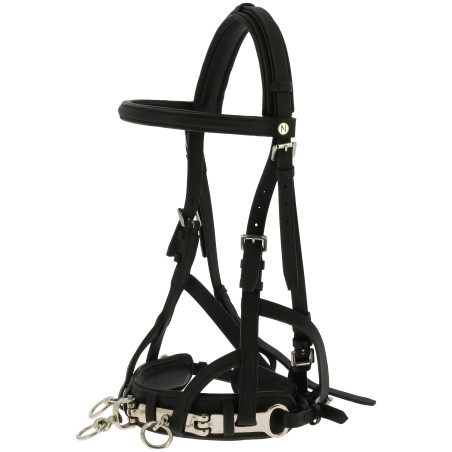 Cabezada de trabajo Norton