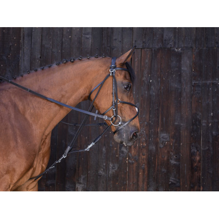 Gogue con poleas Riding World