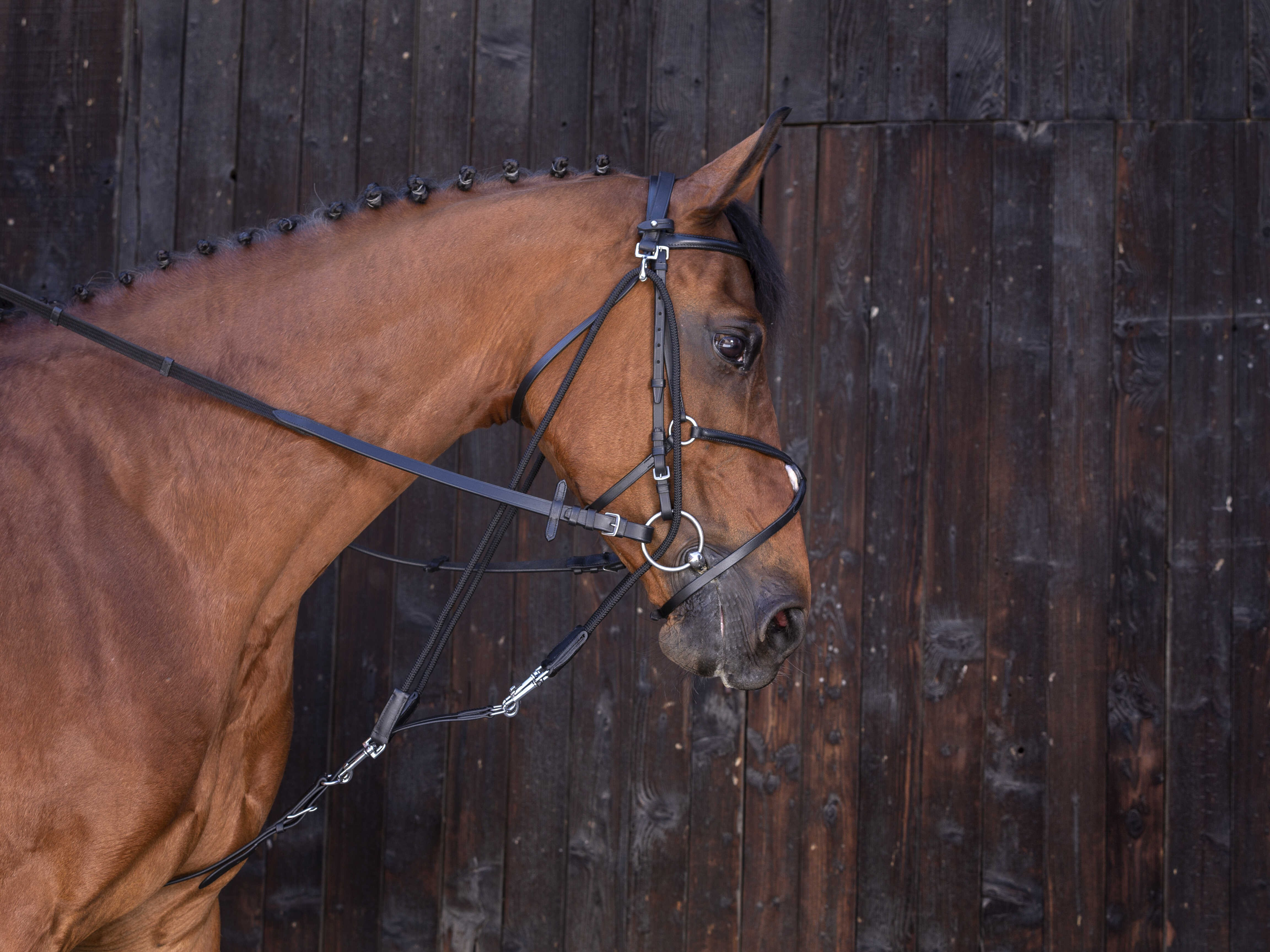 Gogue con poleas Riding World Negro