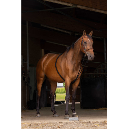 Sistema Norton extensor suave