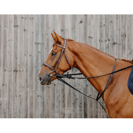 Chambón Norton Pro Thiedeman