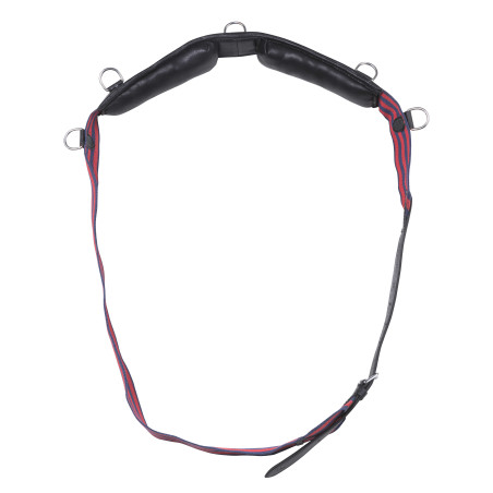 Cinchuelo lona Apollo