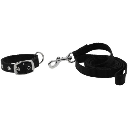 Collar y correa para perro RIDING WORLD - Oscar