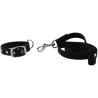 Collar y correa para perro RIDING WORLD - Oscar - Negro