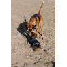 Capa para perro Equithème Eco 600D - Marino