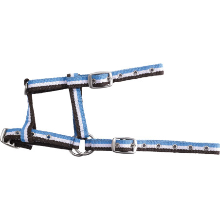 Cabezada ajustable para potro