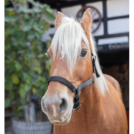 Cabezada de cuadra Norton extra-full