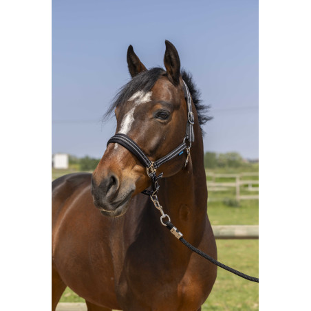 Cabezada de cuadra NORTON 4lines