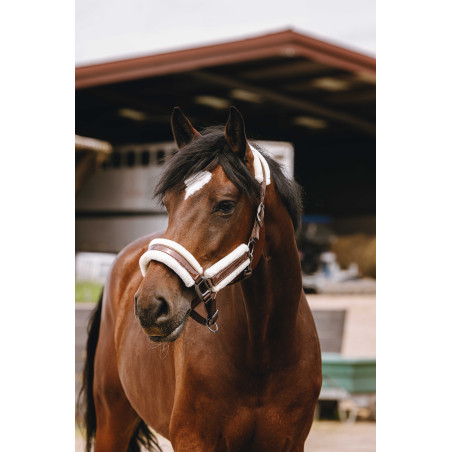 Cabezada de nailon Equithème Fashion