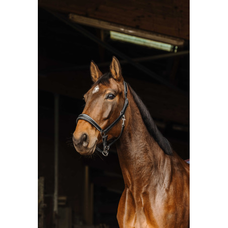 Cabezada de cuero Norton Rock