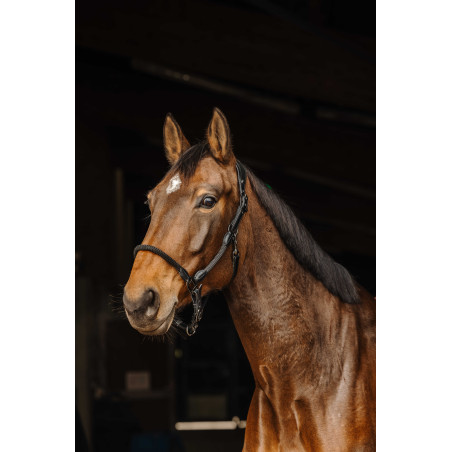 Cabezada de cuero/cuerda Norton