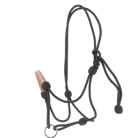 Cabezada de cuadra Pénélope American