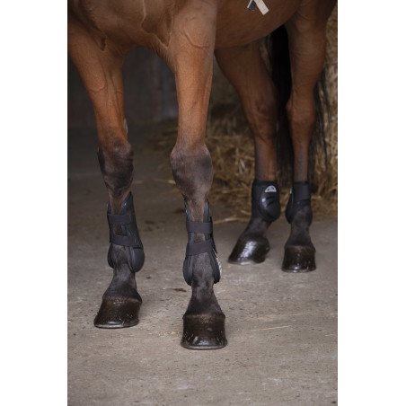 Protectores de menudillo Norton XTR