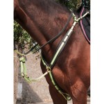 Pechopetral purasangre Biotack T de T