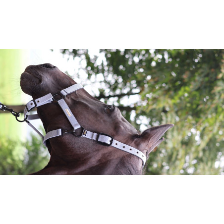 Cabezada LAMI-CELL - Midnight