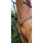 Pechopetral forrado con pespuntes T de T