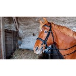 Cabezada doble riendas Pollock cuero T de T