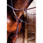 Martingala cuero T de T