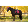 Mantilla LeMieux Loire Classic Dressage Square - Arándano