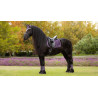 Mantilla LeMieux Loire Classic Dressage Square - Enebro