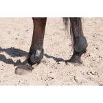 Paratendones posteriores integrales termoformados T de T