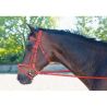 Trensenzaum Biotack® T de T - Roja