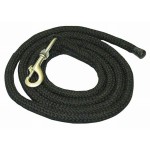 Ramal especial susurrador T de T