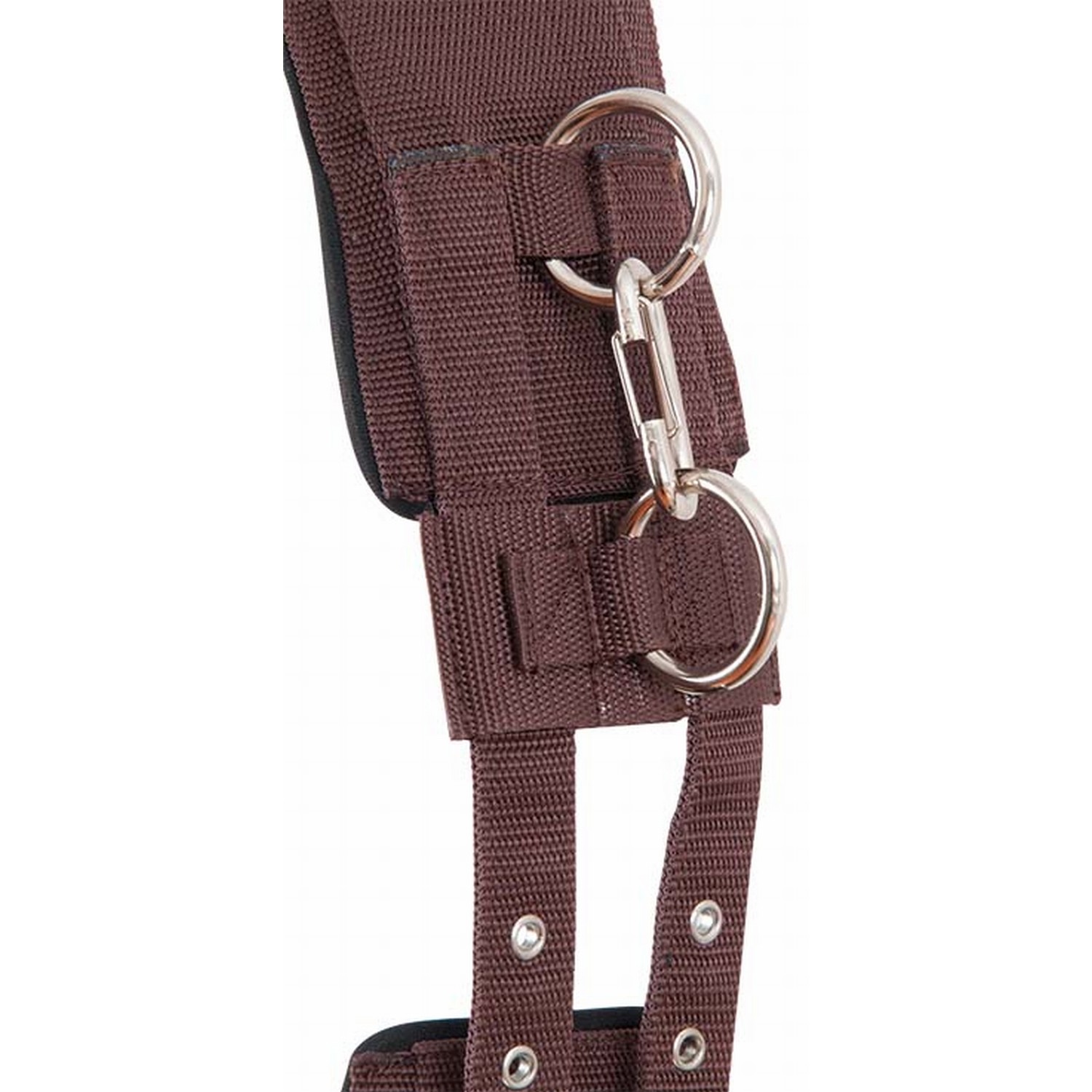 Cinchuelo T de T brun, contrastes noirs Cinchuelo T de T brun, contrastes noirs