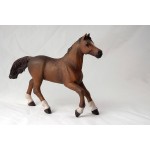 Yegua Angloárabe PAPO