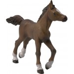 Potro Angloárabe PAPO