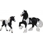 Potro Cob Irlandés negro PAPO