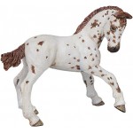 Potro Appaloosa PAPO