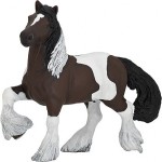 Cob Irlandés bayo PAPO