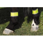 Vendas reflectantes para posteriores