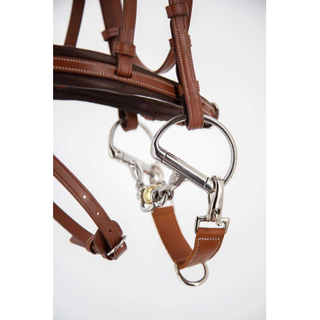 Puente Pénélope Alliance