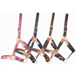 Cabezada de cuadra T de T