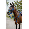 Bridon endurance NORTON - Pop - Azul real