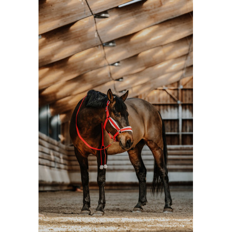 Licol + longe EQUITHÈME - Xmas