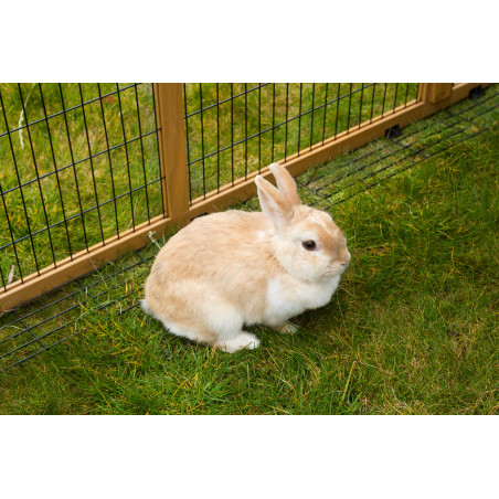 Recinto exterior con dispositivo antiescape Kerbl Hobbyfarming