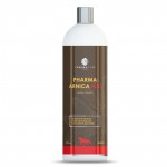 Pharma Arnica Hot  1000ml - caliente
