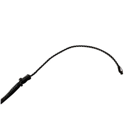 Fusta de doma Whip & Go