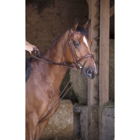 Riendas alemanas de cuero / cuerda Norton Pro