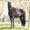 Manta de silla Imperial Riding Josie Dressage - Higo
