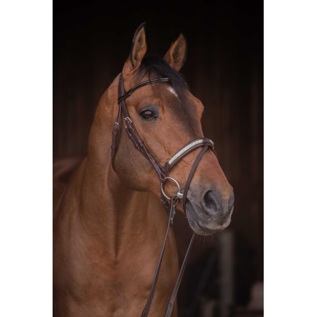 Cabezada PENELOPE - Symphonie SR -